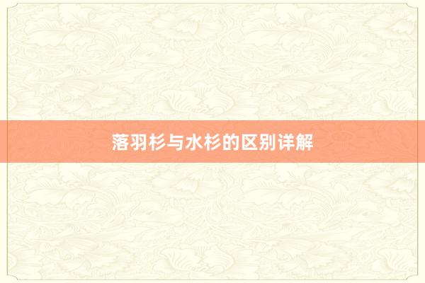 落羽杉与水杉的区别详解