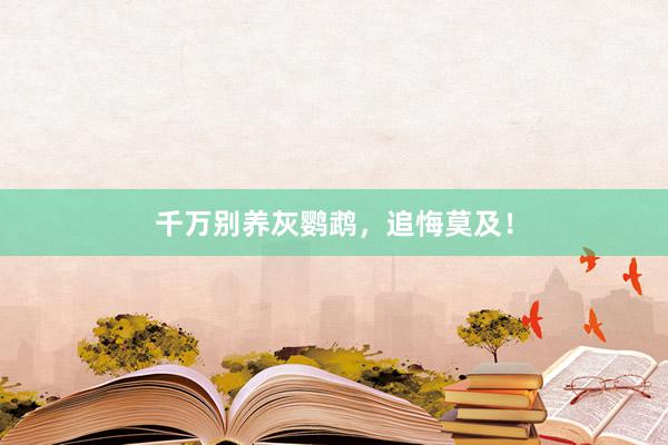 千万别养灰鹦鹉,追悔莫及!