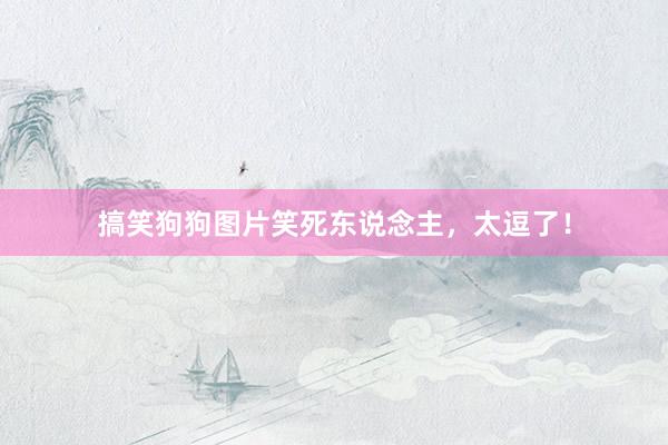 搞笑狗狗图片笑死东说念主，太逗了！