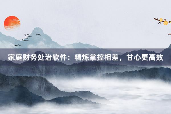 家庭财务处治软件：精炼掌控相差，甘心更高效